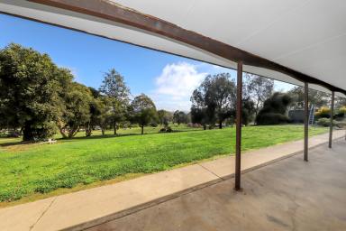 House For Sale - NSW - Tumut - 2720 - Edge of Town!  (Image 2)