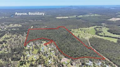 Residential Block For Sale - NSW - Minimbah - 2312 - Discover Your Wilderness Oasis - 175 Acres of Untapped Potential!  (Image 2)