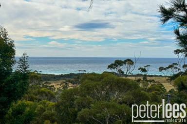 Residential Block Sold - TAS - Bicheno - 7215 - Another Property SOLD SMART By The Team At Peter Lees Real Estate  (Image 2)