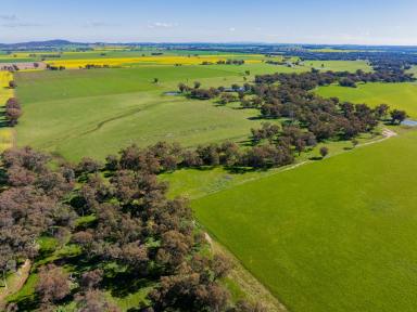 Mixed Farming For Sale - NSW - Stockinbingal - 2725 - Prime Mixed Farming and Grazing Asset with Approved Building Entitlement  (Image 2)