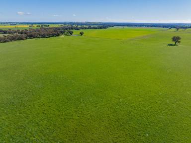 Mixed Farming For Sale - NSW - Stockinbingal - 2725 - Prime Mixed Farming and Grazing Asset with Approved Building Entitlement  (Image 2)