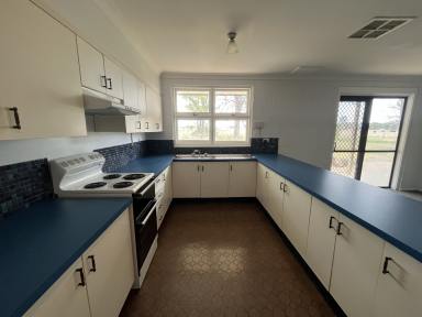 House Leased - NSW - Tamworth - 2340 - Country living at its best!  (Image 2)
