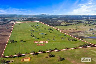 Mixed Farming Sold - VIC - Moyston - 3377 - Productive Lifestyle Property - Grampians Region - 350 Acres  (Image 2)