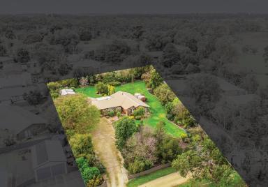 House Sold - SA - Naracoorte - 5271 - Space, Privacy, Picture Perfect Setting - Huge 3,105m2 Allotment  (Image 2)