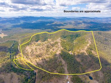 Acreage/Semi-rural Sold - QLD - Amamoor Creek - 4570 - Welcome to "Sanctuary Hill" a 256 acre Off Grid Paradise  (Image 2)