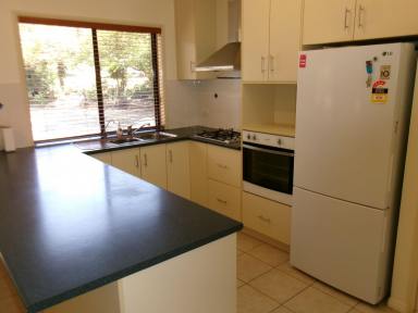 House Sold - QLD - Cawarral - 4702 - Oasis in the Middle of Cawarral  (Image 2)