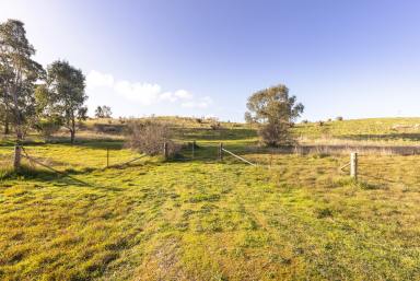 Lifestyle Sold - SA - Naracoorte - 5271 - Impressive view over the valley and Naracoorte Creek  (Image 2)