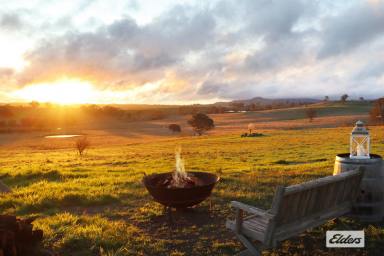 Acreage/Semi-rural Sold - VIC - Elphinstone - 3448 - AMAZING PANORAMIC VIEWS, PRIVACY & A SPRAWLING HOMESTEAD  (Image 2)