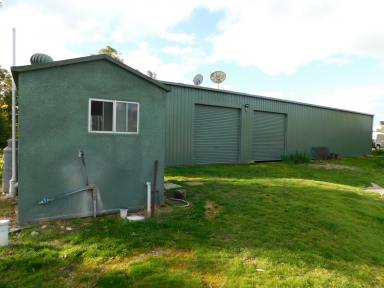 Mixed Farming For Sale - SA - Bordertown - 5268 - Genuine Mixed Farming / Irrigation Property  (Image 2)