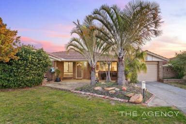 House Sold - WA - Seville Grove - 6112 - EXCEPTIONAL OPPORTUNITY - LARGE 4X2 ON LARGE BLOCK!  (Image 2)