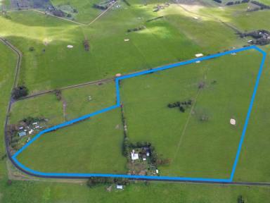 Lifestyle Sold - VIC - Wallacedale - 3303 - It's all about Lifestyle 75 Ac - 30.35 Ha  (Image 2)