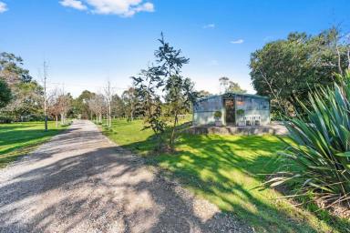 Acreage/Semi-rural Sold - VIC - Pearcedale - 3912 - Country Charm On Private 10 Acres  (Image 2)