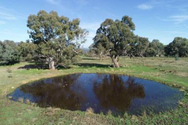 Residential Block Sold - VIC - Mansfield - 3722 - COME FOR THE VIEW AND STAY FOR THE LOCATION  (Image 2)