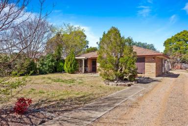 House Sold - QLD - Cambooya - 4358 - First home owners, investors or retirees look no further!!  (Image 2)