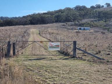 Lifestyle For Sale - NSW - Cassilis - 2329 - Grazing Acres!  (Image 2)