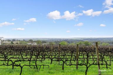 Other (Rural) Sold - SA - Willunga - 5172 - Boutique Vineyard - Elevated 20 acres approx. – Views to Coast  (Image 2)
