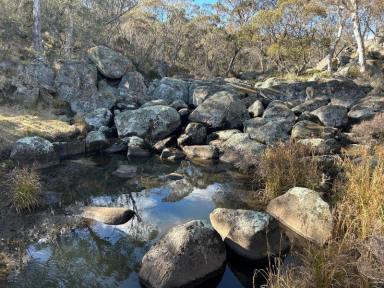 Other (Rural) For Sale - NSW - Kybeyan - 2631 - "Waterfall"  (Image 2)