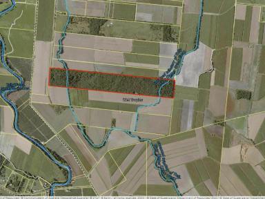 Residential Block For Sale - QLD - Jarra Creek - 4854 - ADD NATURE LOVER’S PARADISE  (Image 2)