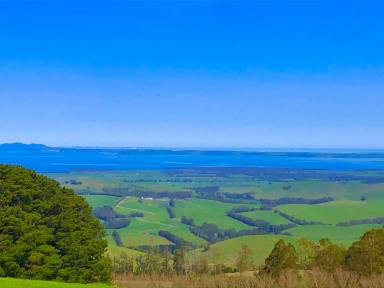 Acreage/Semi-rural For Sale - VIC - Mount Best - 3960 - Panoramic views over coast and country  (Image 2)