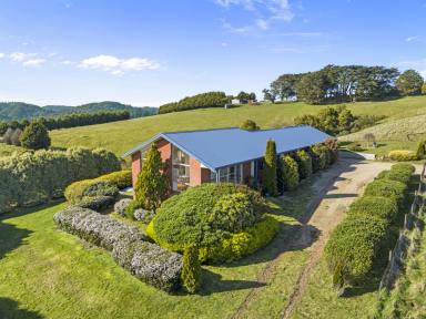 Acreage/Semi-rural For Sale - VIC - Toora North - 3962 - Panoramic views over coast and country  (Image 2)