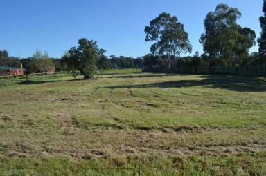 Residential Block For Sale - NSW - Coolamon - 2701 - RARE 1/2 ACRE BLOCK  (Image 2)