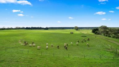 Mixed Farming For Sale - SA - Compton - 5291 - 'MORAY PARK’  (Image 2)