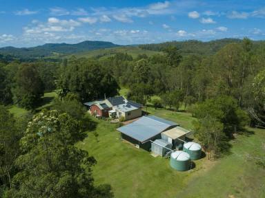 Lifestyle For Sale - NSW - Kyogle - 2474 - REDUCED TO SELL "LITTLE OASIS"  (Image 2)