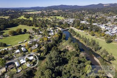 House Sold - NSW - Bellingen - 2454 - Central location with walking distance to Bellinger River and Township  (Image 2)