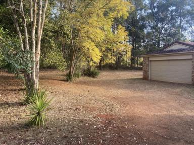 House For Lease - QLD - Blackbutt - 4314 - Large 4 Bedroom Brick Home in Blackbutt  (Image 2)