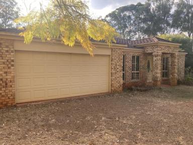 House For Lease - QLD - Blackbutt - 4314 - Large 4 Bedroom Brick Home in Blackbutt  (Image 2)