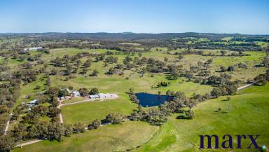 Other (Rural) Sold - SA - Angaston - 5353 - LIFESTYLE PROPERTY IN THE BAROSSA RANGES  (Image 2)