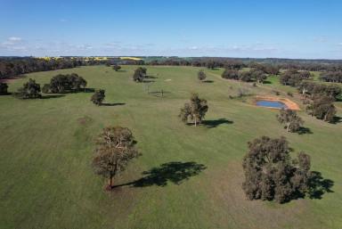Other (Rural) For Sale - WA - York - 6302 - Ideal rural block close to Perth                                          58ha (143acres)  (Image 2)