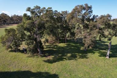 Other (Rural) For Sale - WA - York - 6302 - Ideal rural block close to Perth                                          58ha (143acres)  (Image 2)