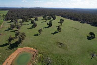 Mixed Farming For Sale - WA - York - 6302 - Ideal rural block close to Perth                                          58ha (143acres)  (Image 2)