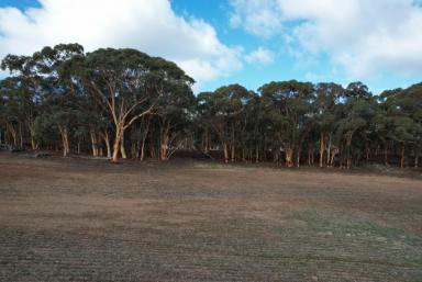 Mixed Farming Sold - WA - Talbot - 6302 - "Horse Paddock "A unique block ideally situated                            23.5ha (58acres)  (Image 2)