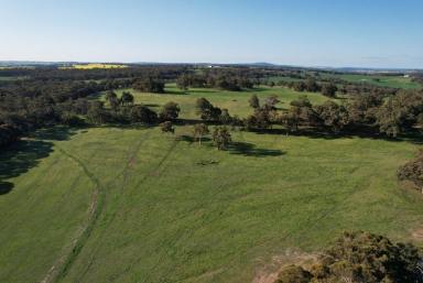 Mixed Farming For Sale - WA - Talbot - 6302 - Prime land in a reliable area approx 295ha (728acres)  (Image 2)