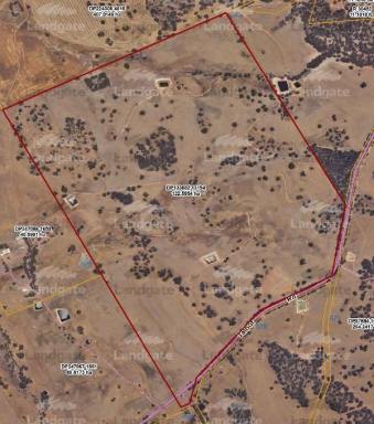 Mixed Farming For Sale - WA - Talbot - 6302 - Prime land in a reliable area                              approx 91ha (224acres)  (Image 2)