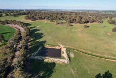 Mixed Farming For Sale - WA - Talbot - 6302 - QUALITY LAND IN A TIGHTLY HELD AREA                         204ha (504acres)  (Image 2)