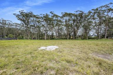 Residential Block Sold - NSW - Shoalhaven Heads - 2535 - Exclusive Land Offering in Shoalhaven Heads  (Image 2)