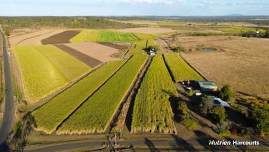 Cropping For Sale - QLD - McIlwraith - 4671 - CANE, CATTLE AND HAY PRODUCTION FARM!!!  (Image 2)