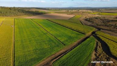 Cropping For Sale - QLD - McIlwraith - 4671 - CANE, CATTLE AND HAY PRODUCTION FARM!!!  (Image 2)