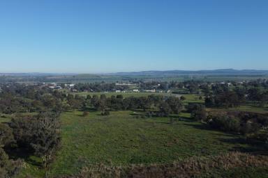 Residential Block Sold - NSW - Canowindra - 2804 - 10 ACRES* TO BUILD YOUR DREAM HOME  (Image 2)