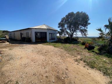Lifestyle Sold - SA - Cambrai - 5353 - Affordable, large property. Exceptional views to the horizon. Add your vision, effort and up-dating to create an amazing country property.  (Image 2)