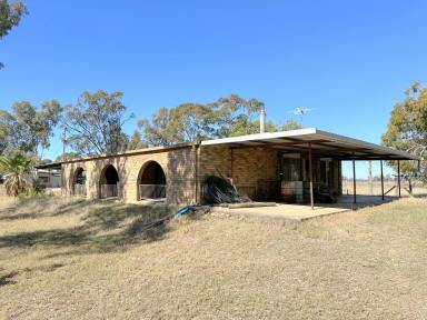 House Sold - NSW - Moree - 2400 - TWO HOMES ON 14.85HA CLOSE TO TOWN  (Image 2)