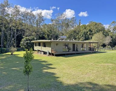 Acreage/Semi-rural Sold - NSW - Stewarts River - 2443 - “Dalley Valley” Your Hidden Oasis  (Image 2)