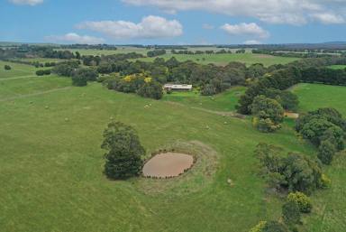House Sold - VIC - Mount Mercer - 3352 - Live The Quiet Country Life With A View!  (Image 2)