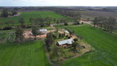 Acreage/Semi-rural For Sale - VIC - Piangil - 3597 - Unbelievable Opportunity: Your Dream Riverside Oasis Awaits!  (Image 2)