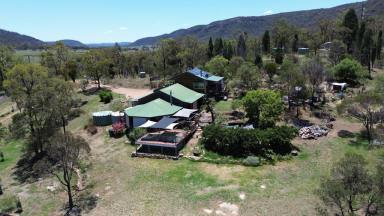 Mixed Farming For Sale - nsw - Sandy Hollow - 2333 - A Walk in Walk Out Very Well Establsihed Property  (Image 2)
