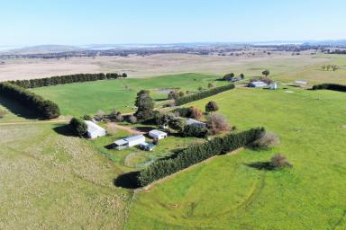 Mixed Farming For Sale - NSW - Crookwell - 2583 - 'EVERTON PARK' - HIGHLY PRODUCTIVE IMPROVED MIXED FARMING COUNTRY IN THE RENOWNED CROOKWELL DISTRICT  (Image 2)
