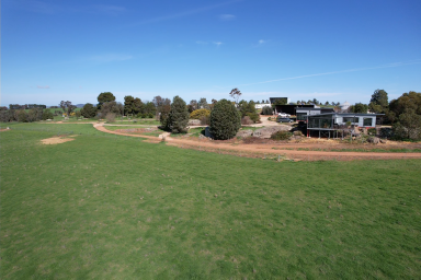 Livestock For Sale - NSW - Wagga Wagga - 2650 - Multiple Income Streams – Renowned Mixed Farming Region  (Image 2)